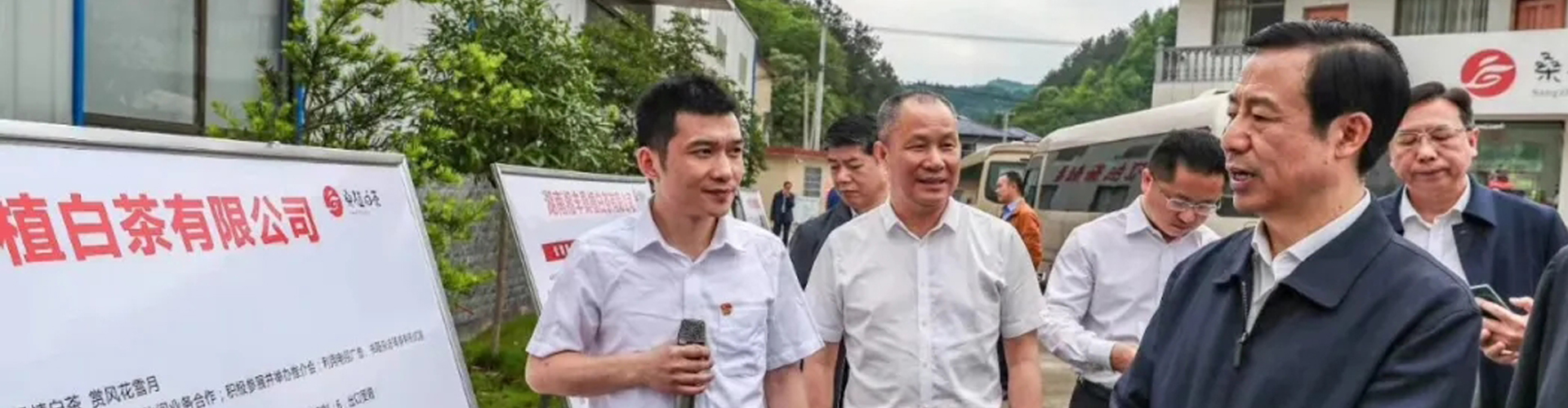 湖南省委副書記、省長許達哲視察湘豐桑植白茶公司