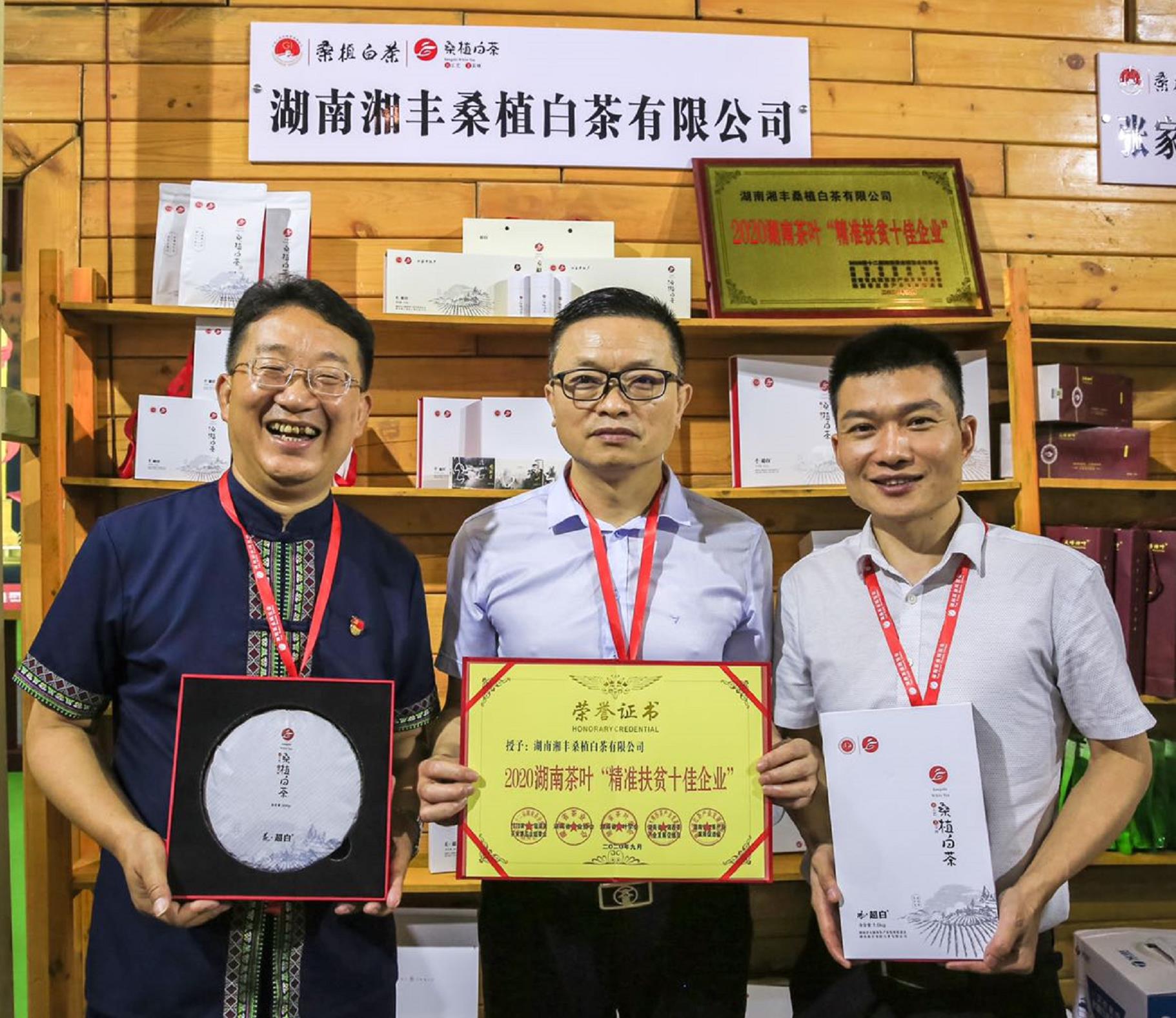 榮耀三連！湘豐桑植白茶再獲金獎(jiǎng)