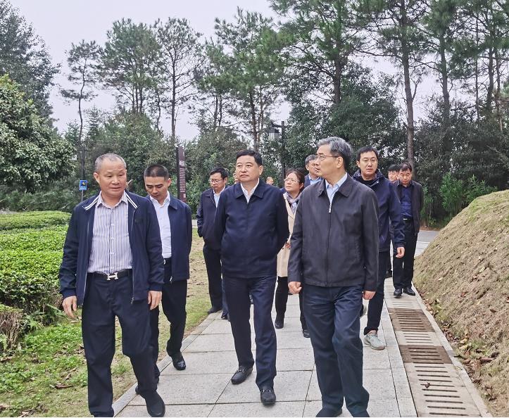 蘇州市市委副書(shū)記朱民一行考察湘豐茶業(yè)集團(tuán)
