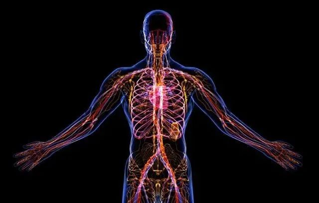 復旦大學重磅突破：茶是打通人體經(jīng)絡最有效的食品