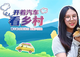 開著汽車看鄉(xiāng)村 |湘豐村：虎躍茶山 展振興活力