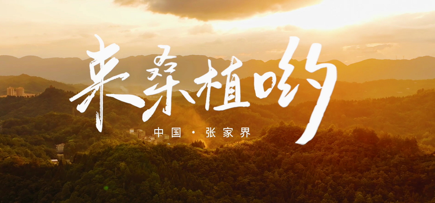 桑植推廣歌曲《來桑植喲》發布！