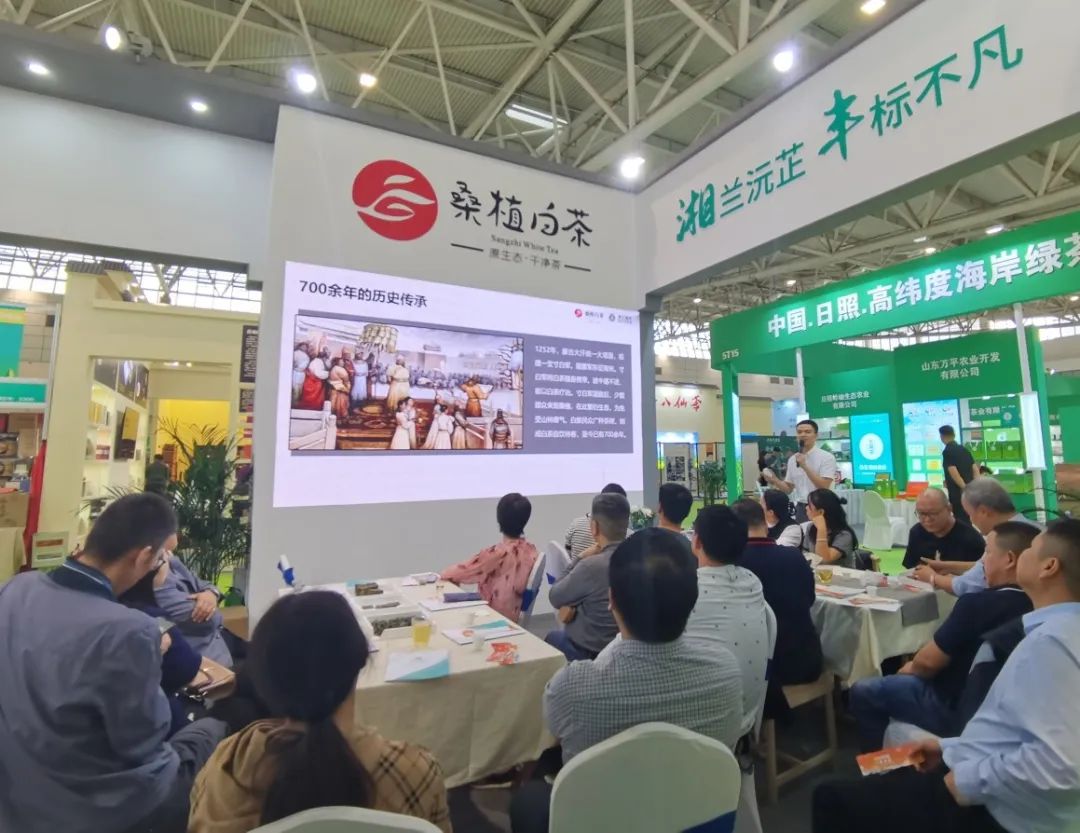 斬獲雙項(xiàng)金獎！湘豐桑植白茶閃耀第十屆中國茶葉博覽會