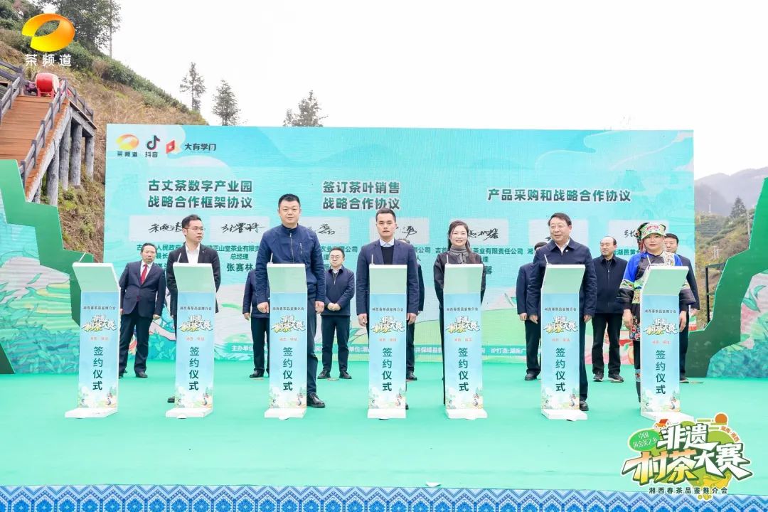 中國黃金茶之鄉·非遺村茶大賽隆重舉行！