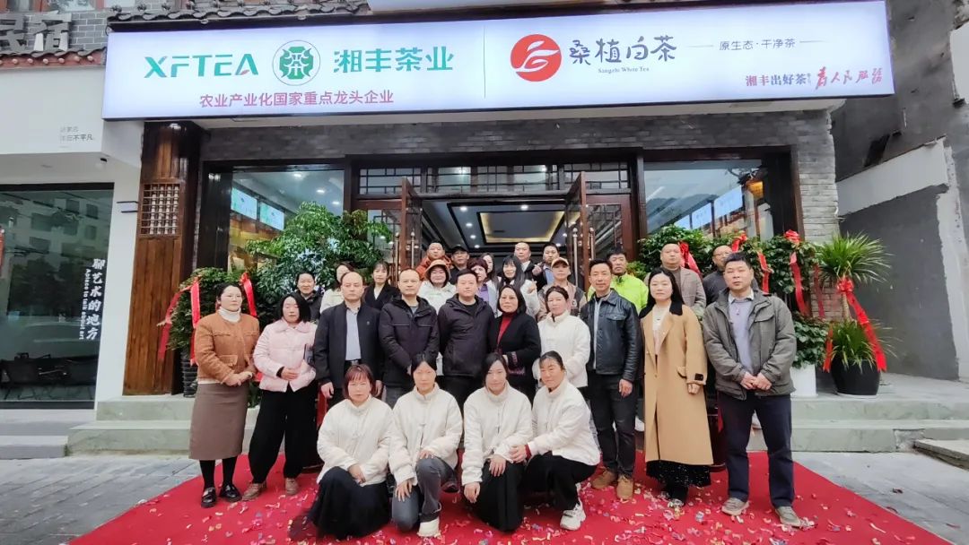 湘豐茶業·桑植白茶張家界武陵源旗艦店盛大開業！