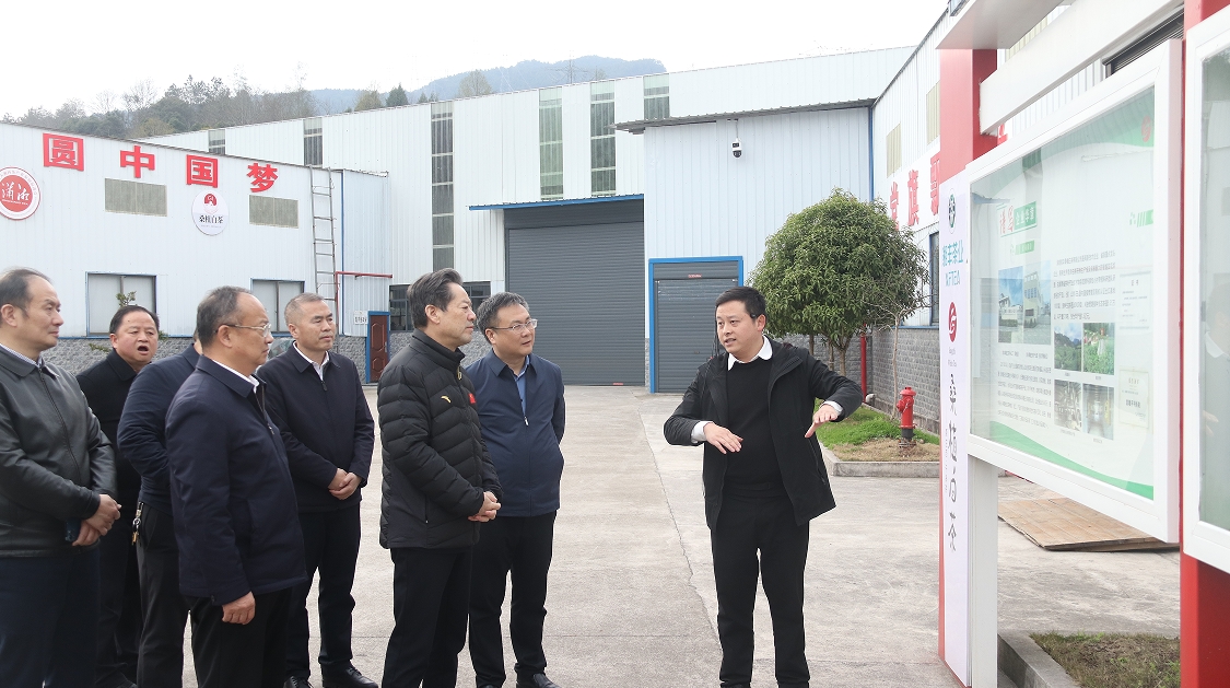 湖南省政協副主席虢正貴帶隊調研湘豐桑植白茶公司