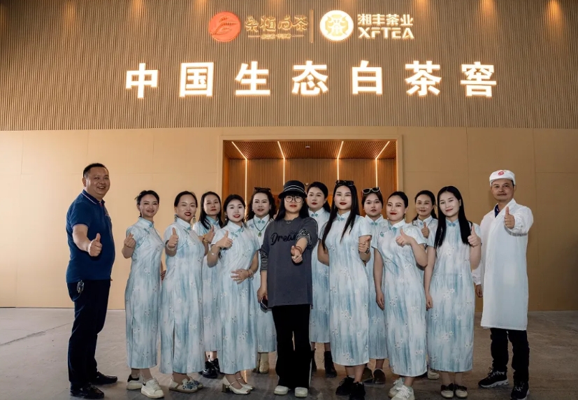 助力品牌騰飛 | 湘豐桑植白茶品宣與營銷培訓活動如期舉行