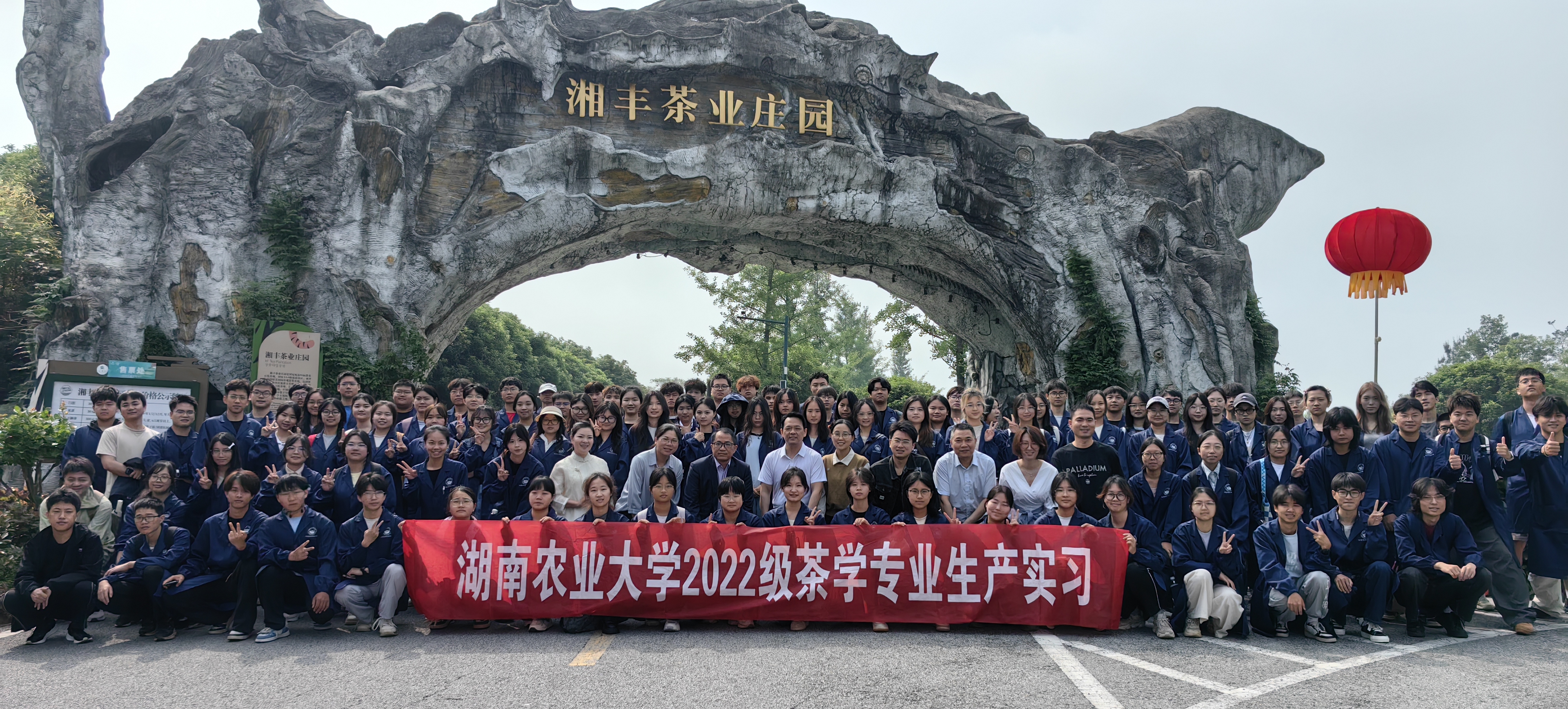 湖南農大茶學師生赴湘豐茶業集團開展生產實習