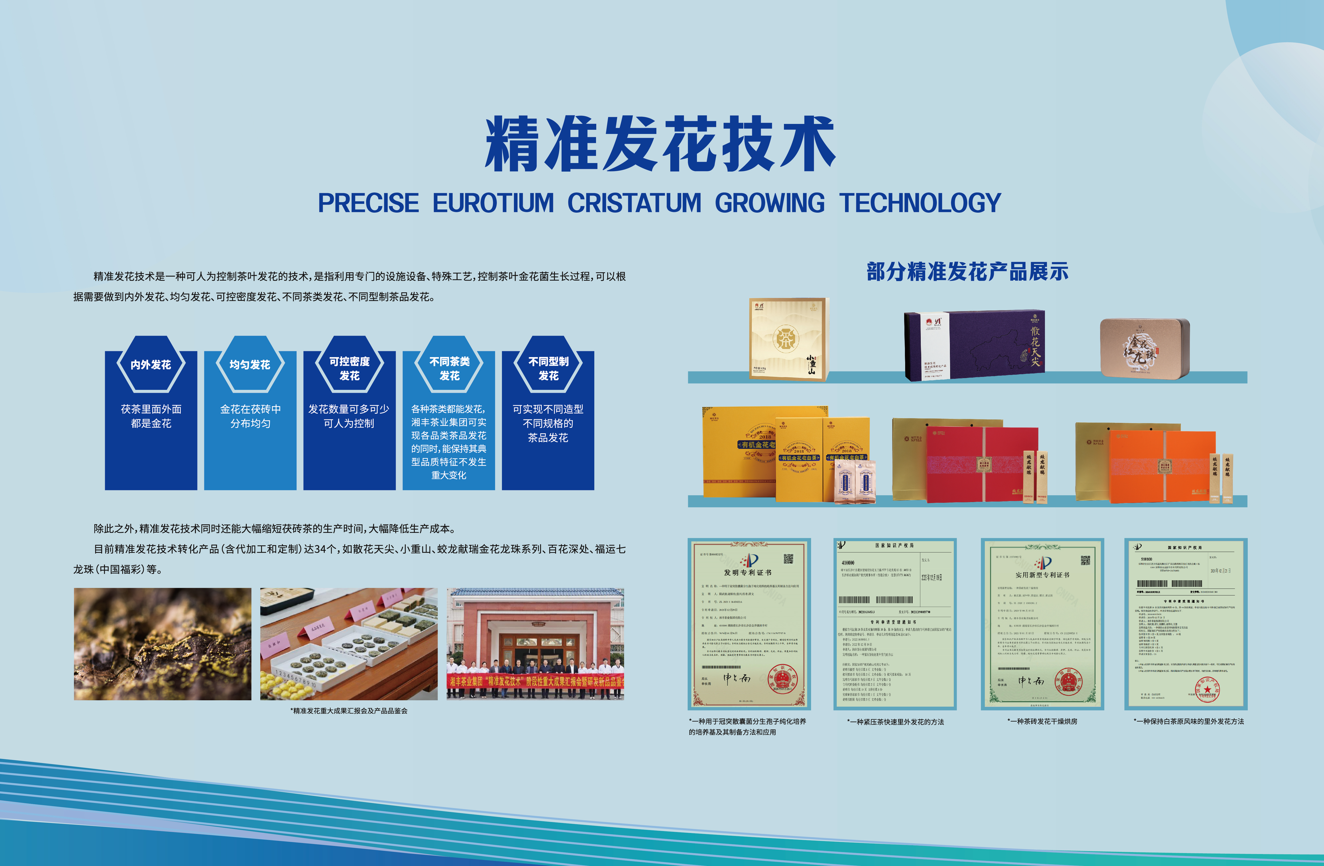 科技湘豐-精準發花技術.jpg