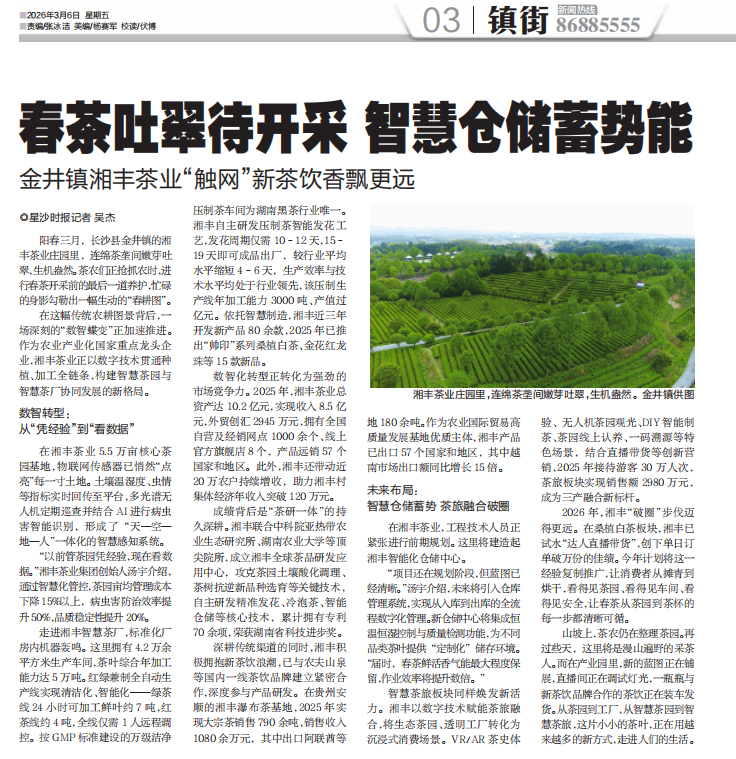 星沙時(shí)報(bào) | 春茶吐翠待開采 智慧倉儲(chǔ)蓄勢能 金井鎮(zhèn)湘豐茶業(yè)“觸網(wǎng)”新茶飲香飄更遠(yuǎn)